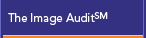 The Image Audit